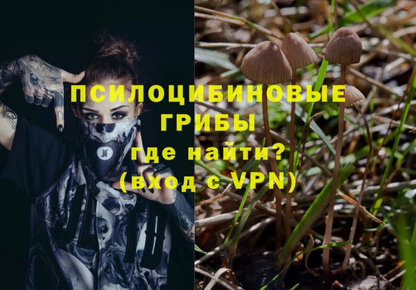 твердый Пролетарск