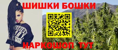 индика Лесосибирск