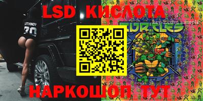 индика Лесосибирск