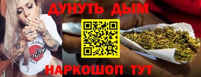 индика Лесосибирск