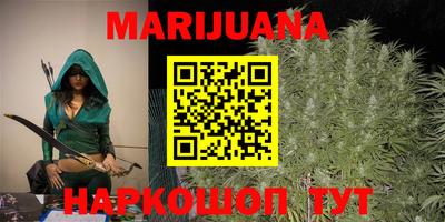 индика Лесосибирск