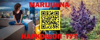 индика Лесосибирск