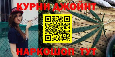 индика Лесосибирск