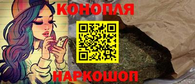 индика Лесосибирск