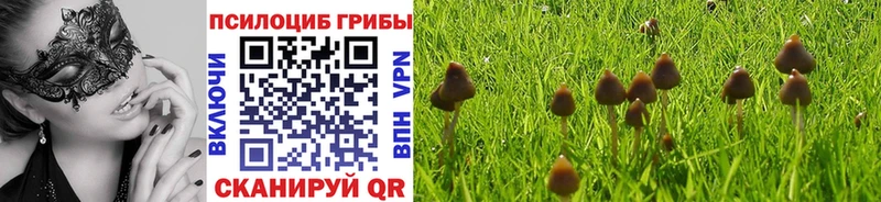 это состав  Искитим  Псилоцибиновые грибы ЛСД 