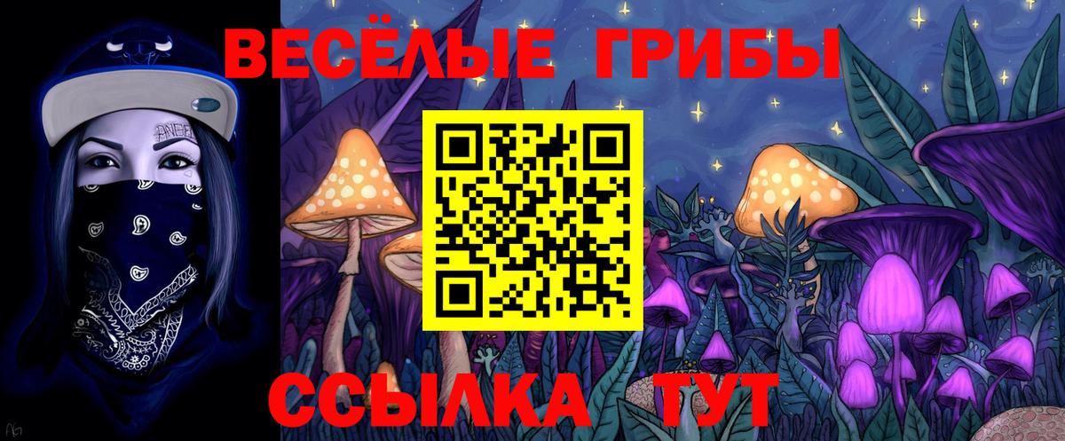 Псилоцибиновые грибы Magic Shrooms Искитим